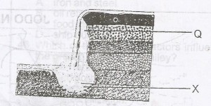 The feature marked X is